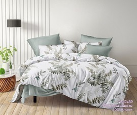 КПБ поплин Оливковая коллекция Реноме 