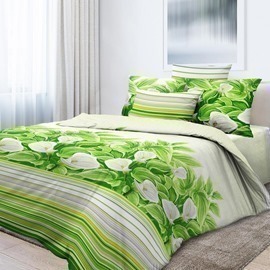 КПБ 2сп с евро простыней бязь Премиум Реноме <6134-1> (арт.38/002)